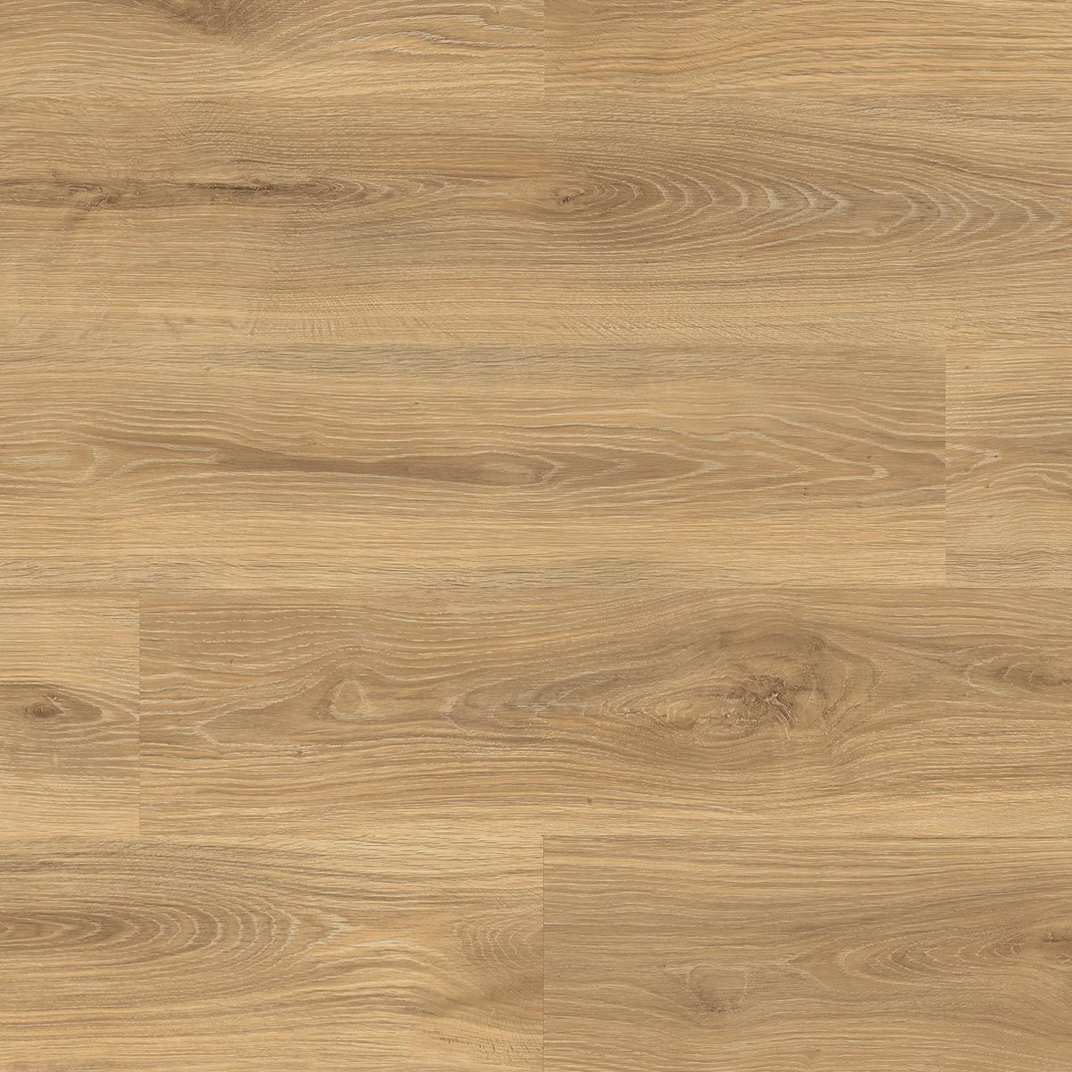 Douwes Dekker Plank Wasabi