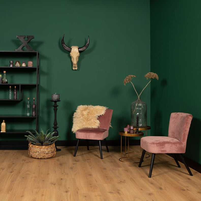 Douwes Dekker Brede plank Peterselie