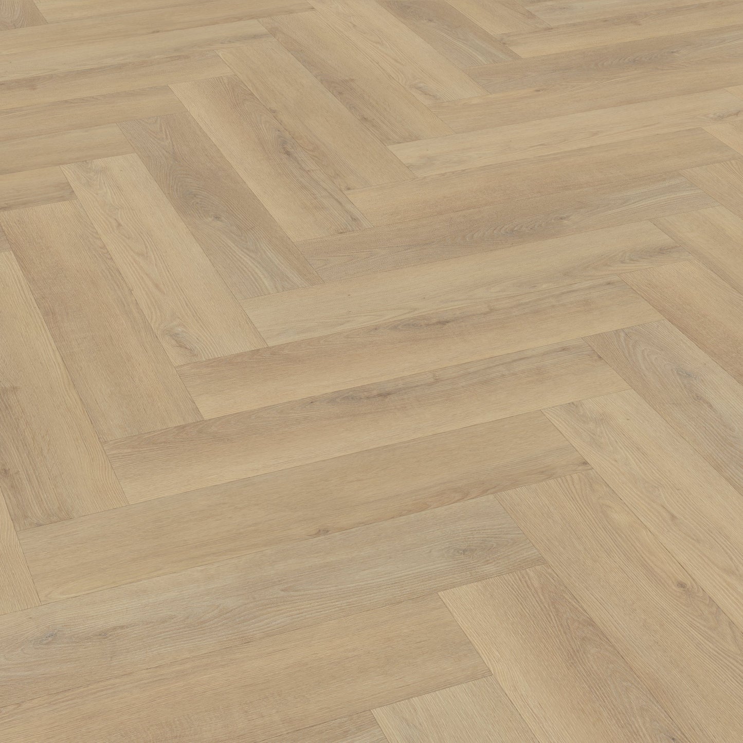 Belakos Palazzo visgraat XL 72 dryback