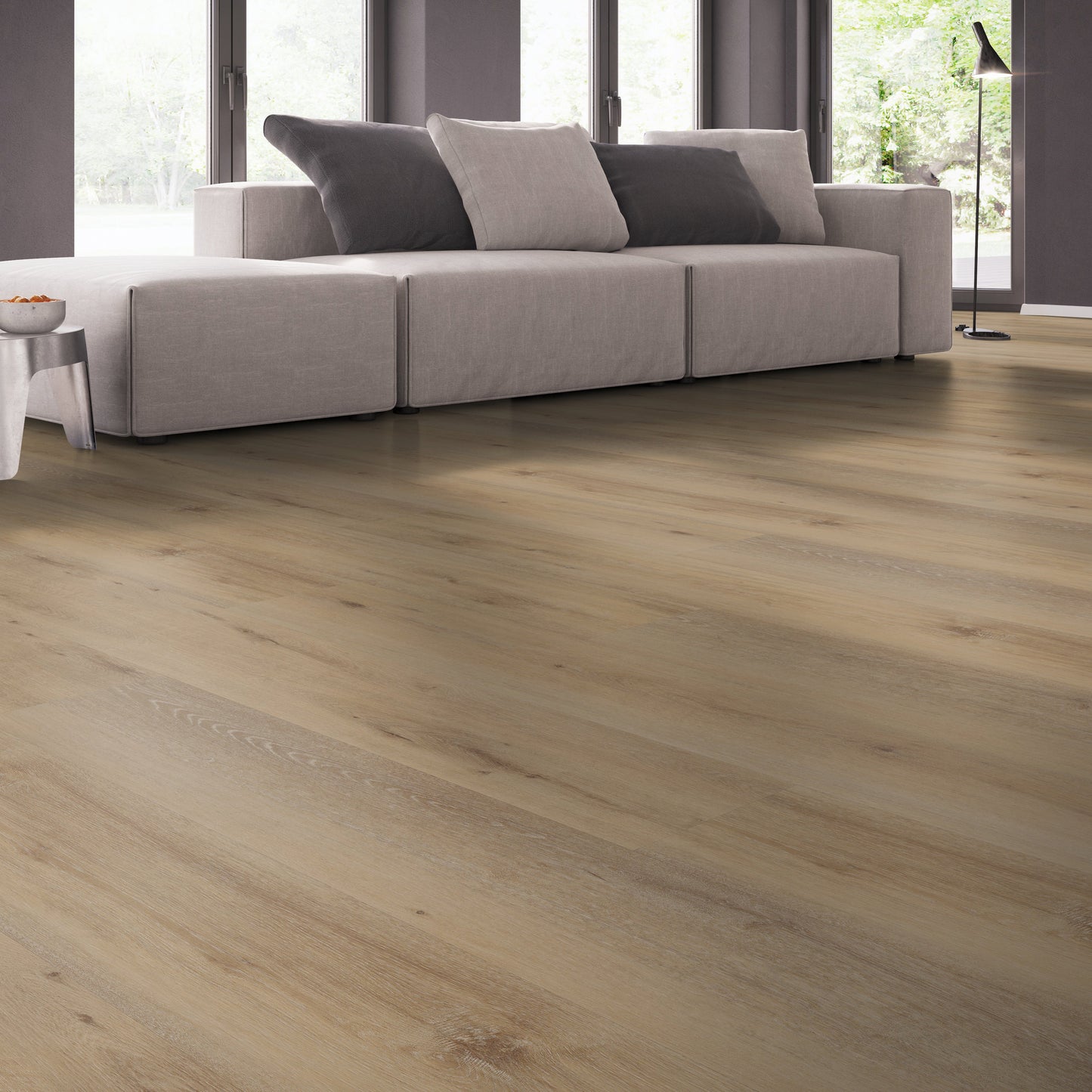 Belakos Attico 800 dryback