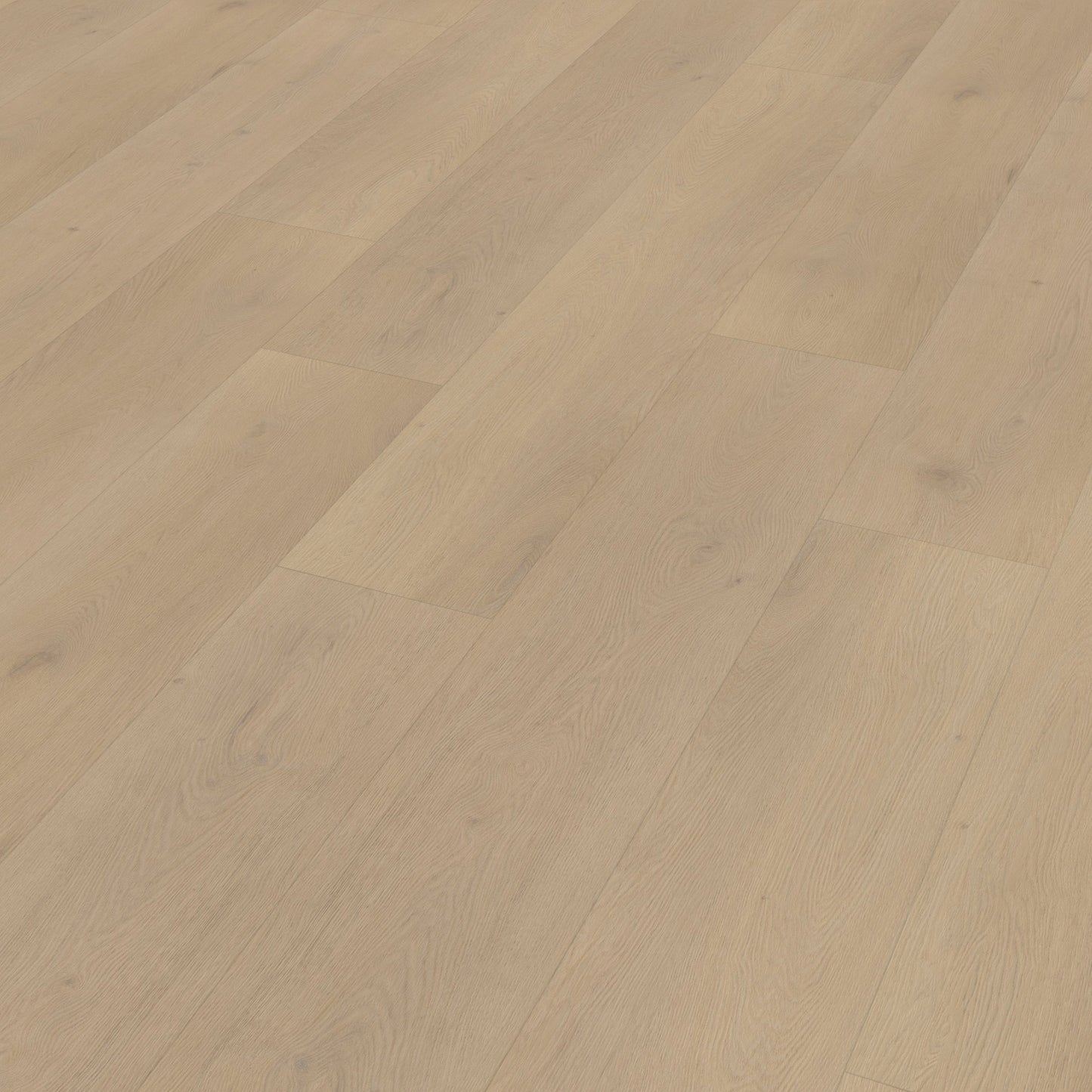 Belakos Palazzo 770 Rigid Click