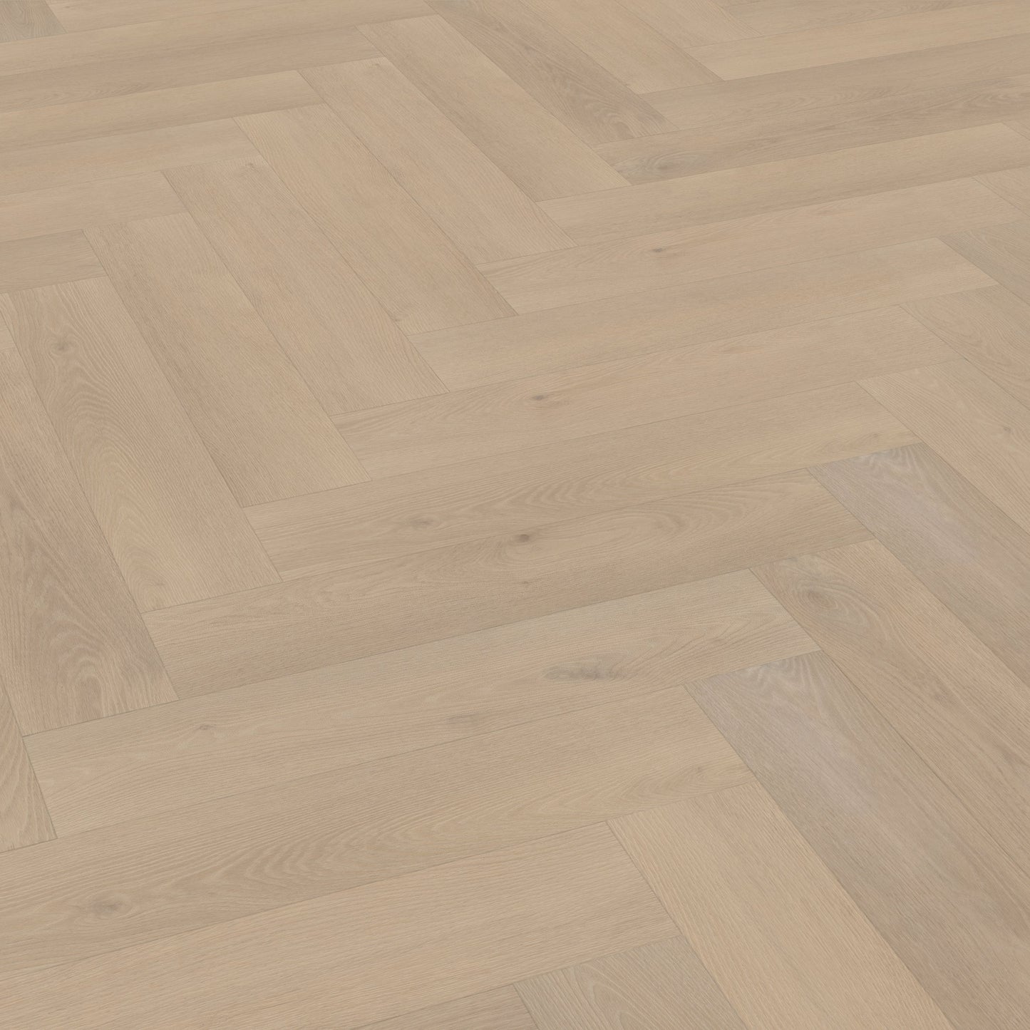 Belakos Palazzo visgraat XL 74 dryback