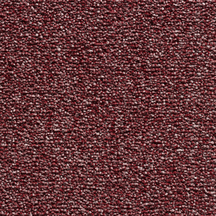 Belakos Glance 25