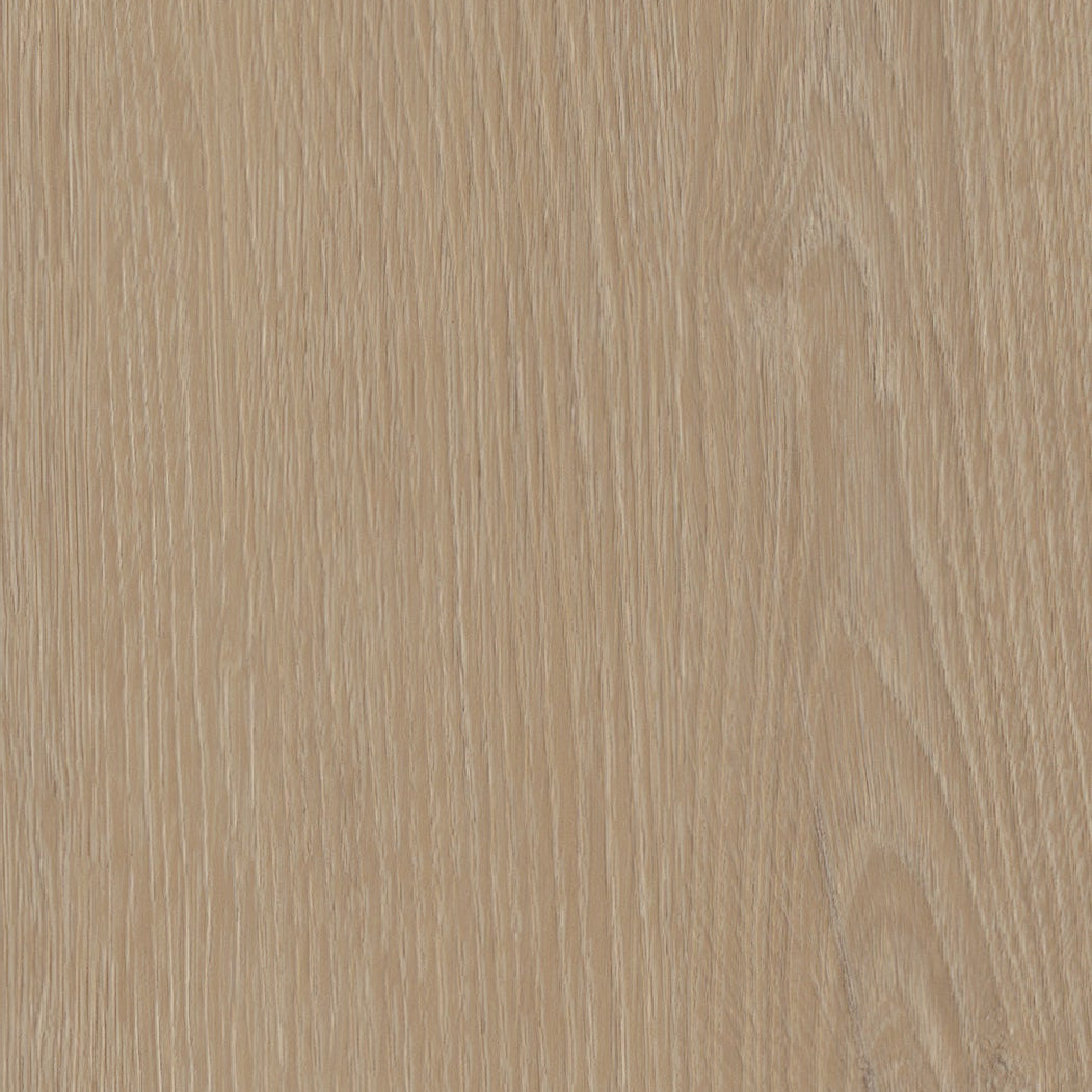 Belakos Cervo Walvisgraat W21 dryback