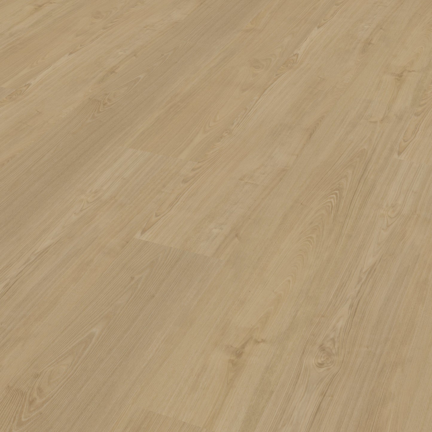Belakos Portico 560 Rigid Click