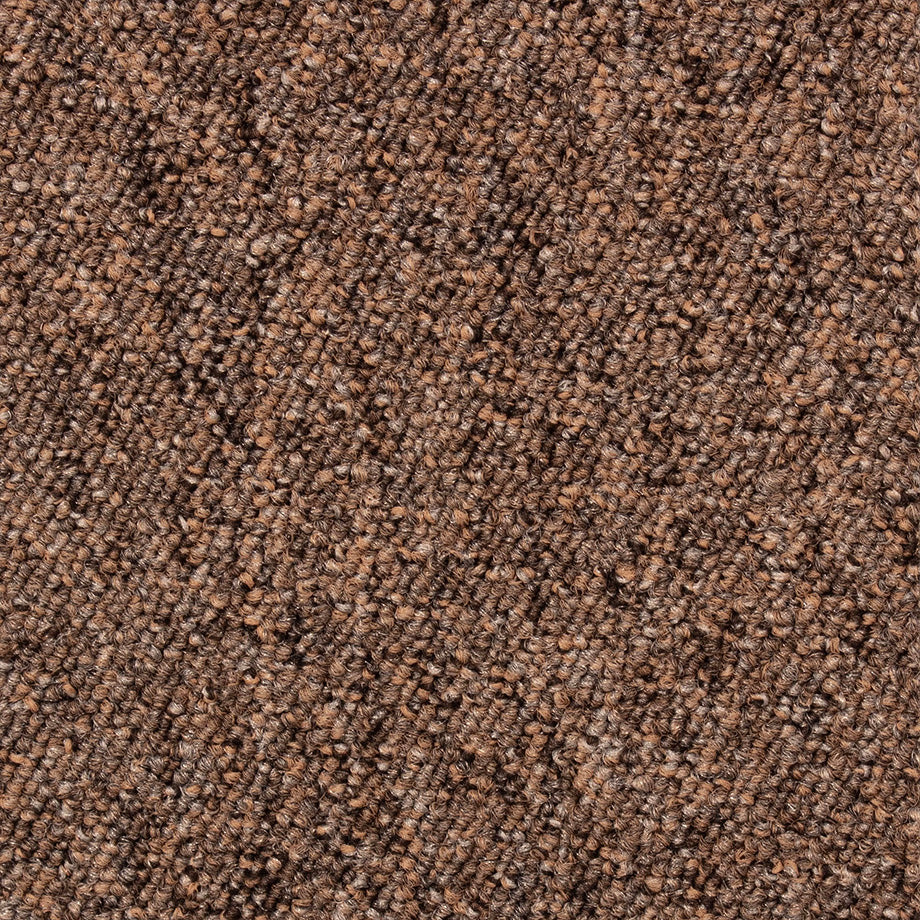 Interfloor Robusta Project-SDN 450
