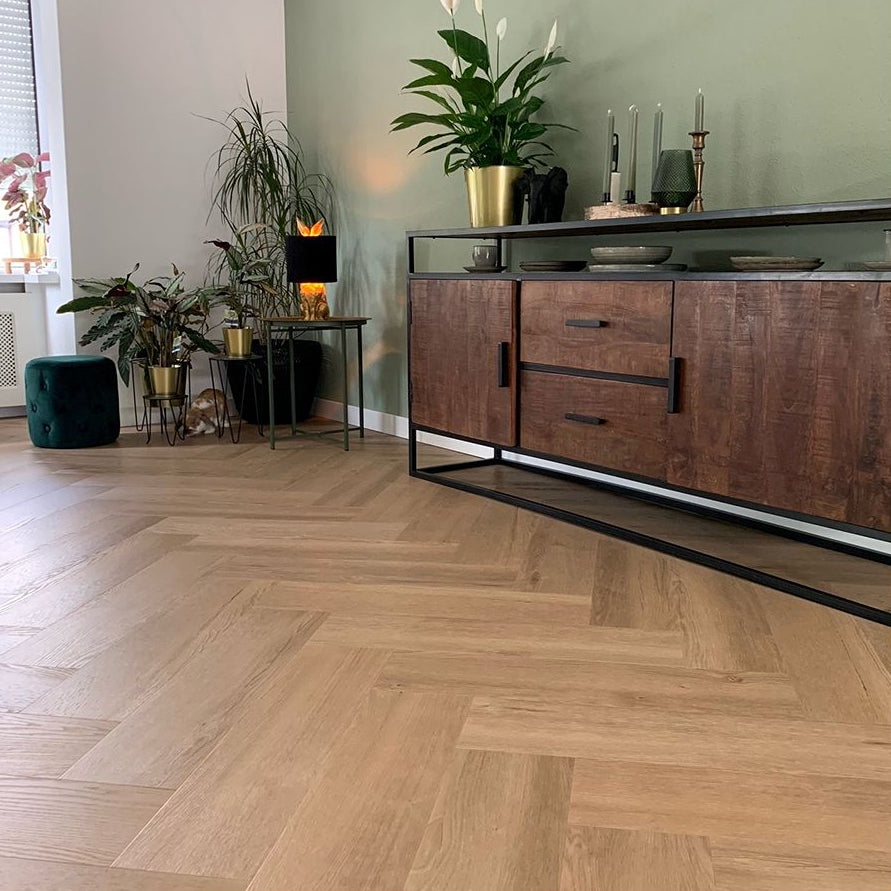 Douwes Dekker Visgraat boterkoek dryback