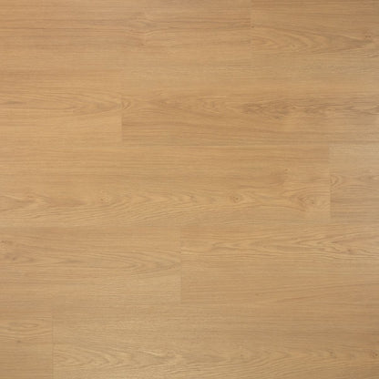 Douwes Dekker Brede plank Kaviaar