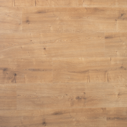 Douwes Dekker Plank Saffraan