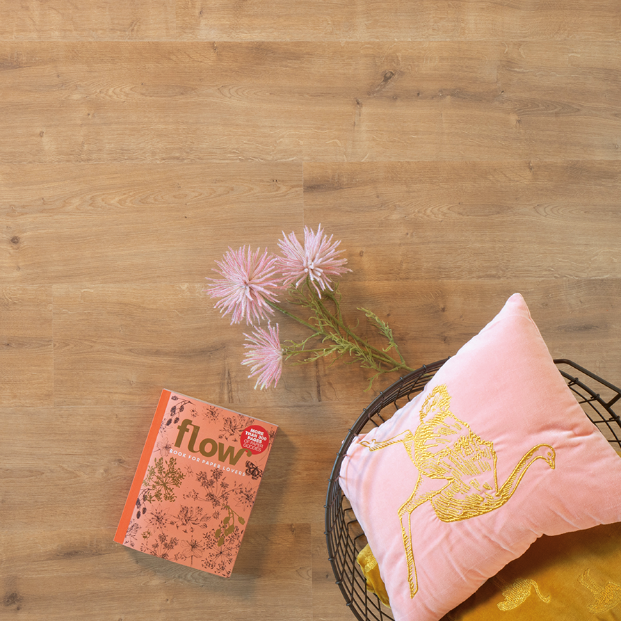 Douwes Dekker Plank Saffraan