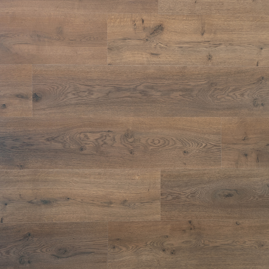 Douwes Dekker Plank Dille