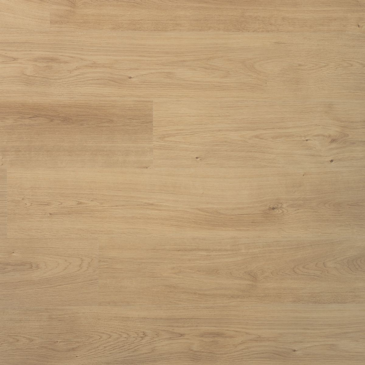 Douwes Dekker Plank Nootmuskaat
