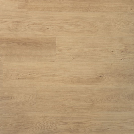 Douwes Dekker Plank Nootmuskaat