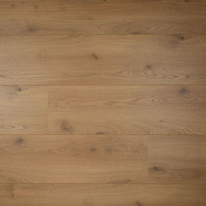 Douwes Dekker Brede plank Peterselie