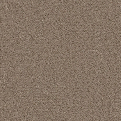 Ambiant Lodi taupe 0535 | 400cm