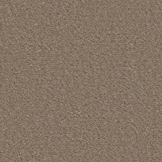 Ambiant Lodi taupe 0535 | 400cm