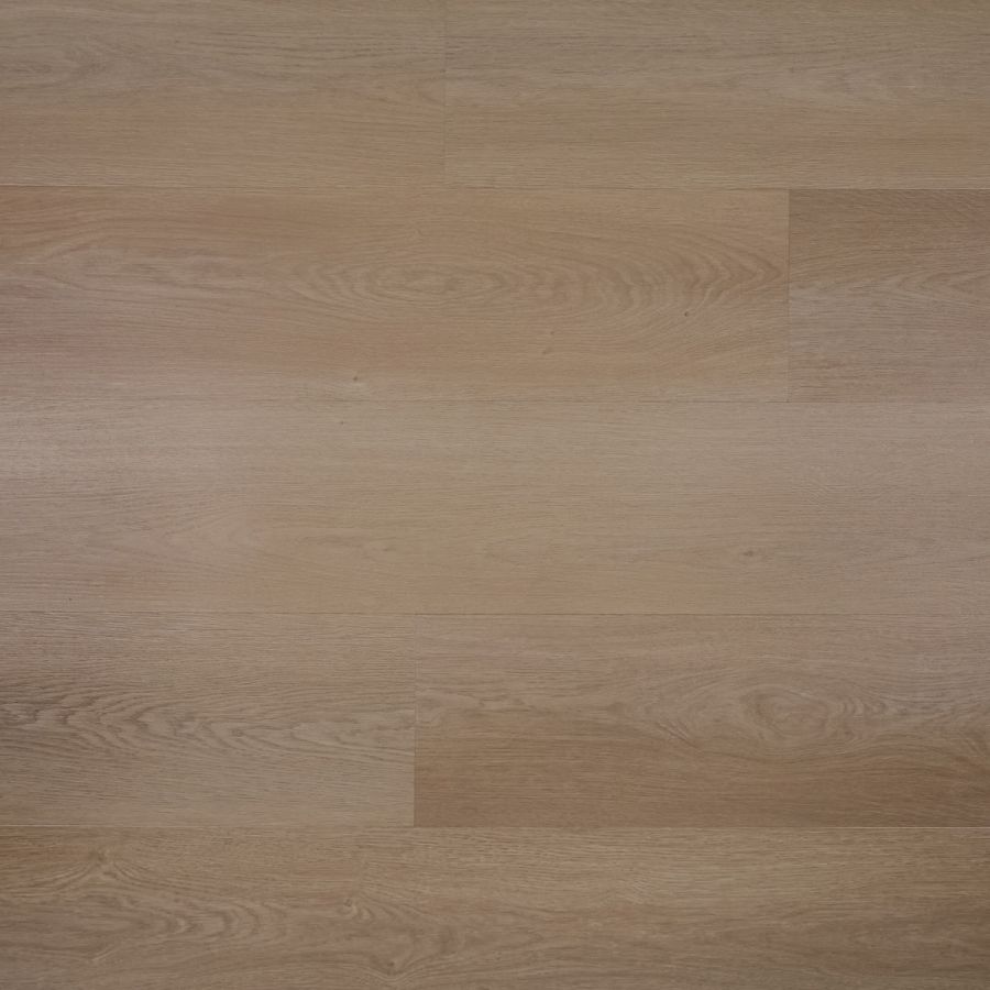 Douwes Dekker Plank papaja click