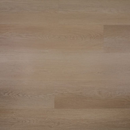 Douwes Dekker Plank papaja click
