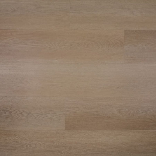 Douwes Dekker Plank papaja click