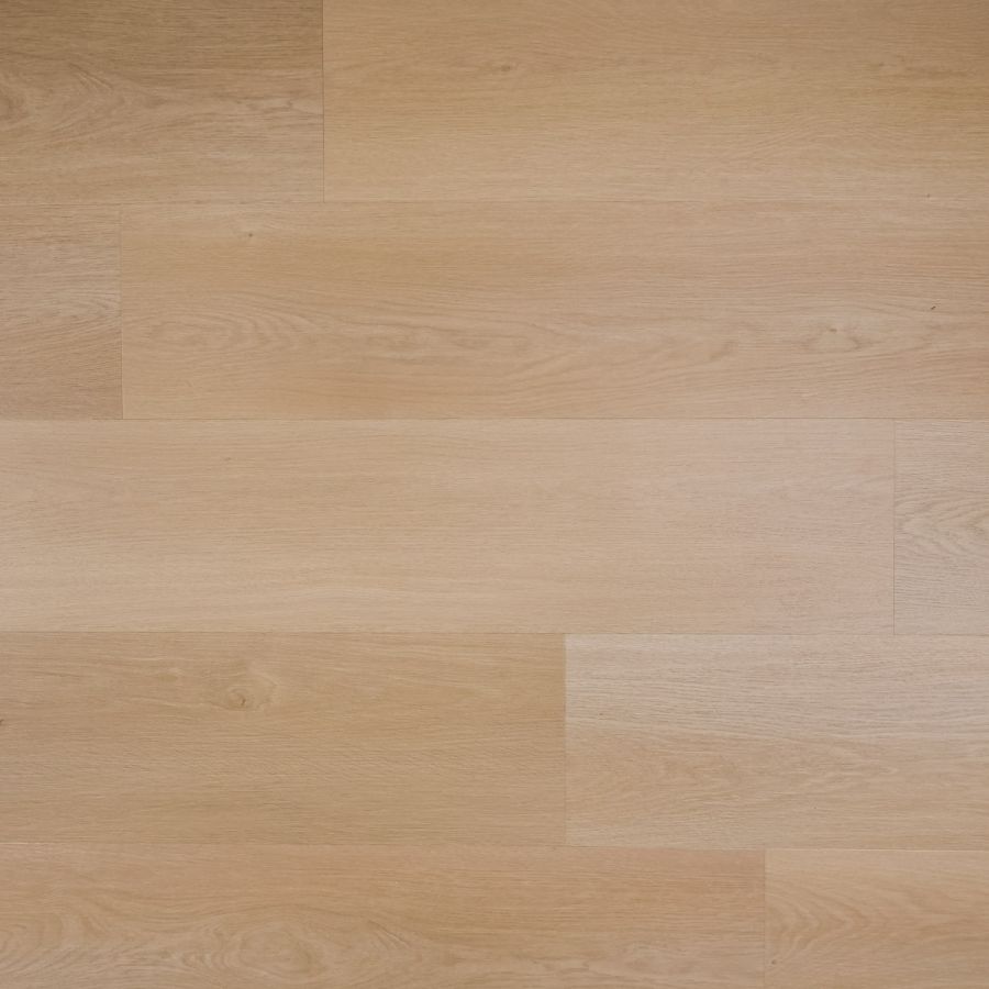 Douwes Dekker Plank peer click