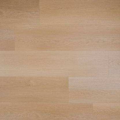 Douwes Dekker Plank peer click
