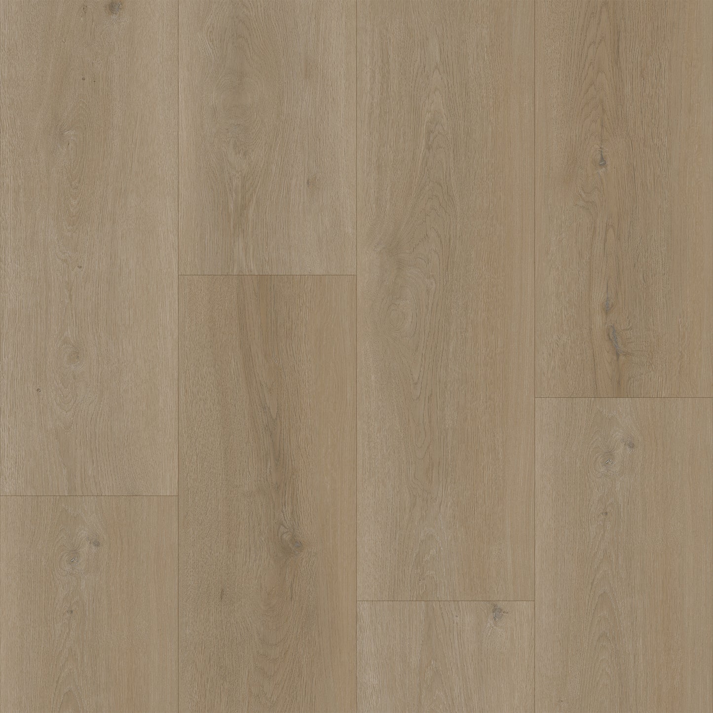 Bodiax Plank Legian dryback