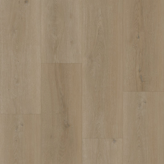 Bodiax Plank Legian dryback