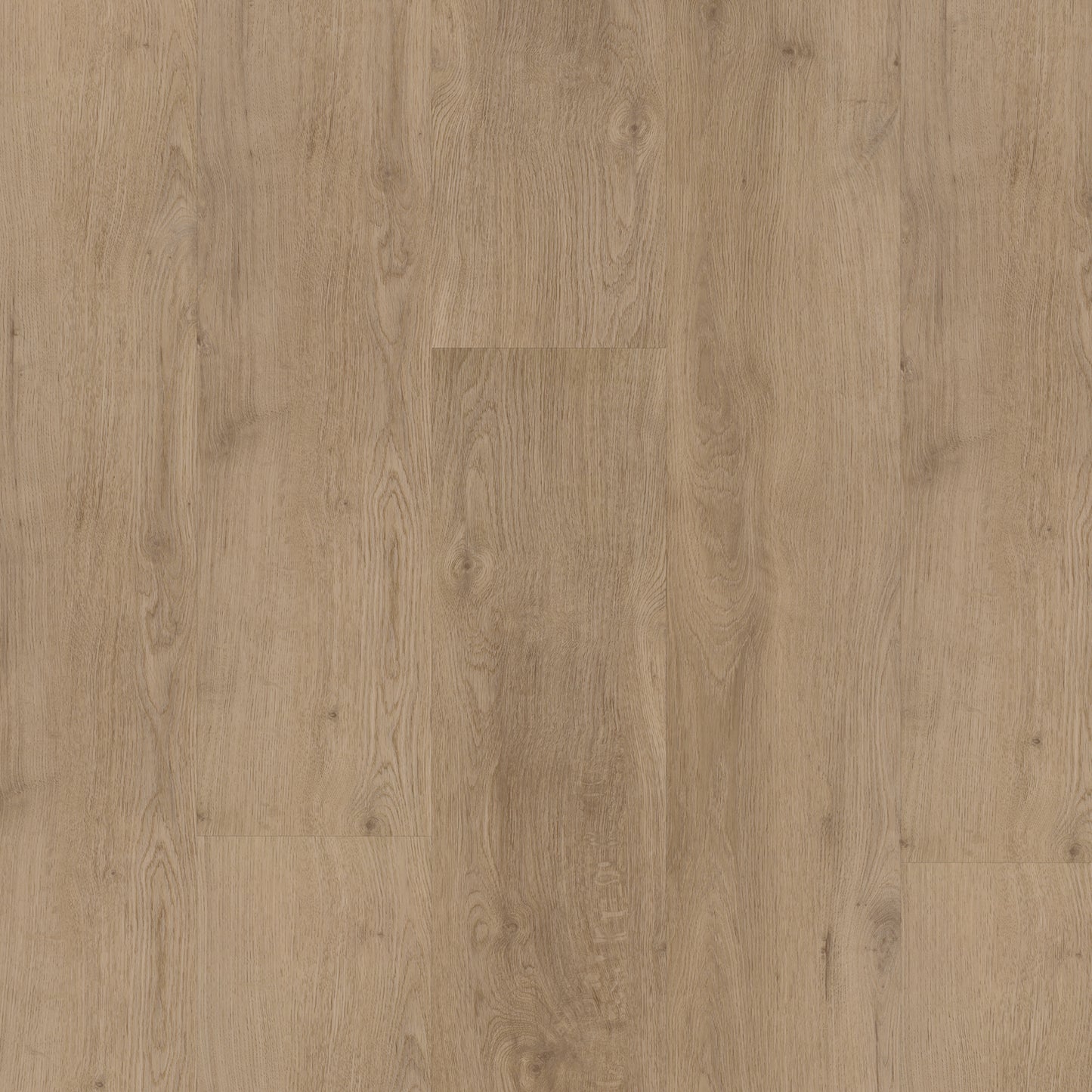 Bodiax Naturel eiken click
