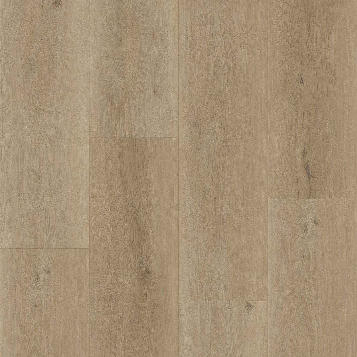 Bodiax Plank Sage dryback