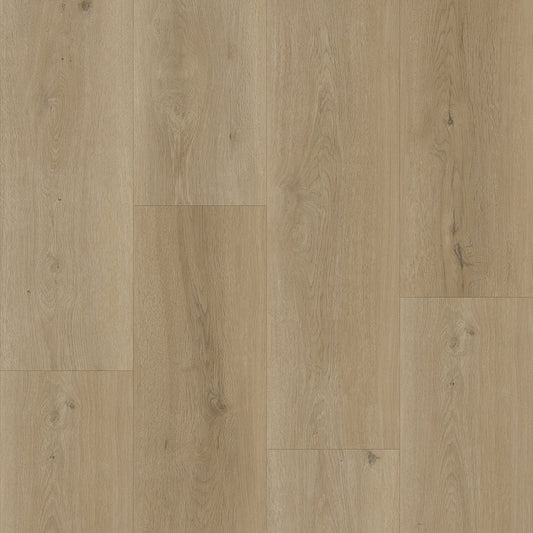 Bodiax Plank Sage dryback