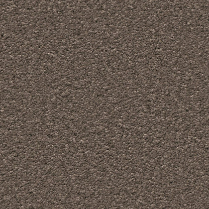 Ambiant Newport bruin 0600 | 400 cm