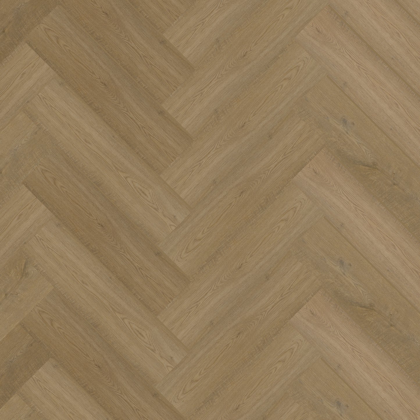 Bodiax Visgraat Belleville Oak dryback