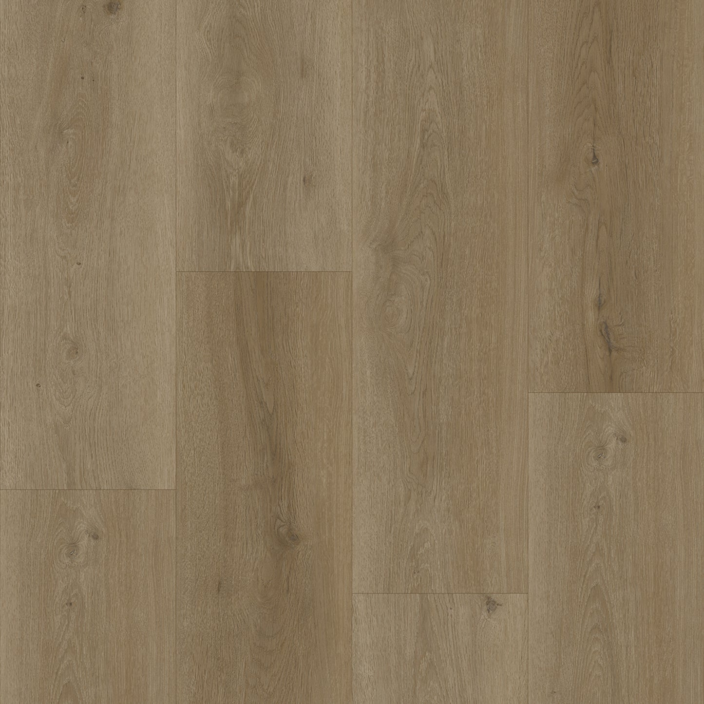 Bodiax Plank Selenite dryback