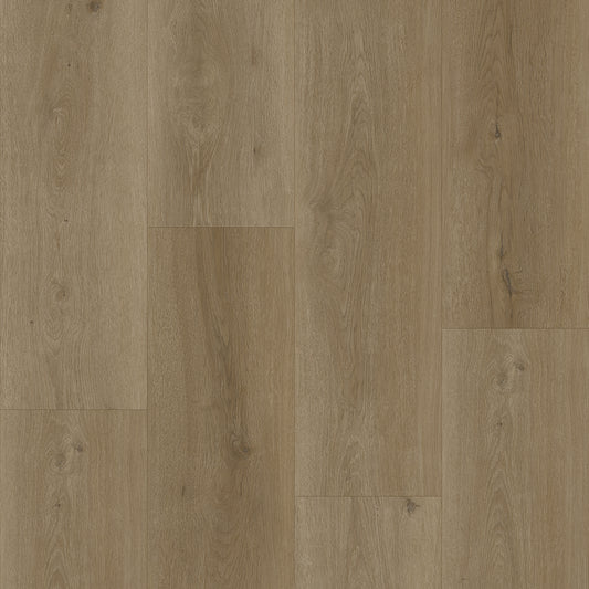 Bodiax Plank Selenite dryback