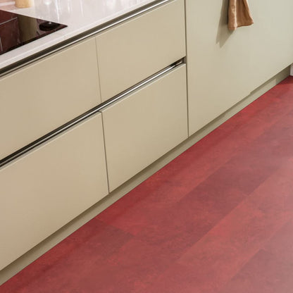 Ambiant Viretto dryback red