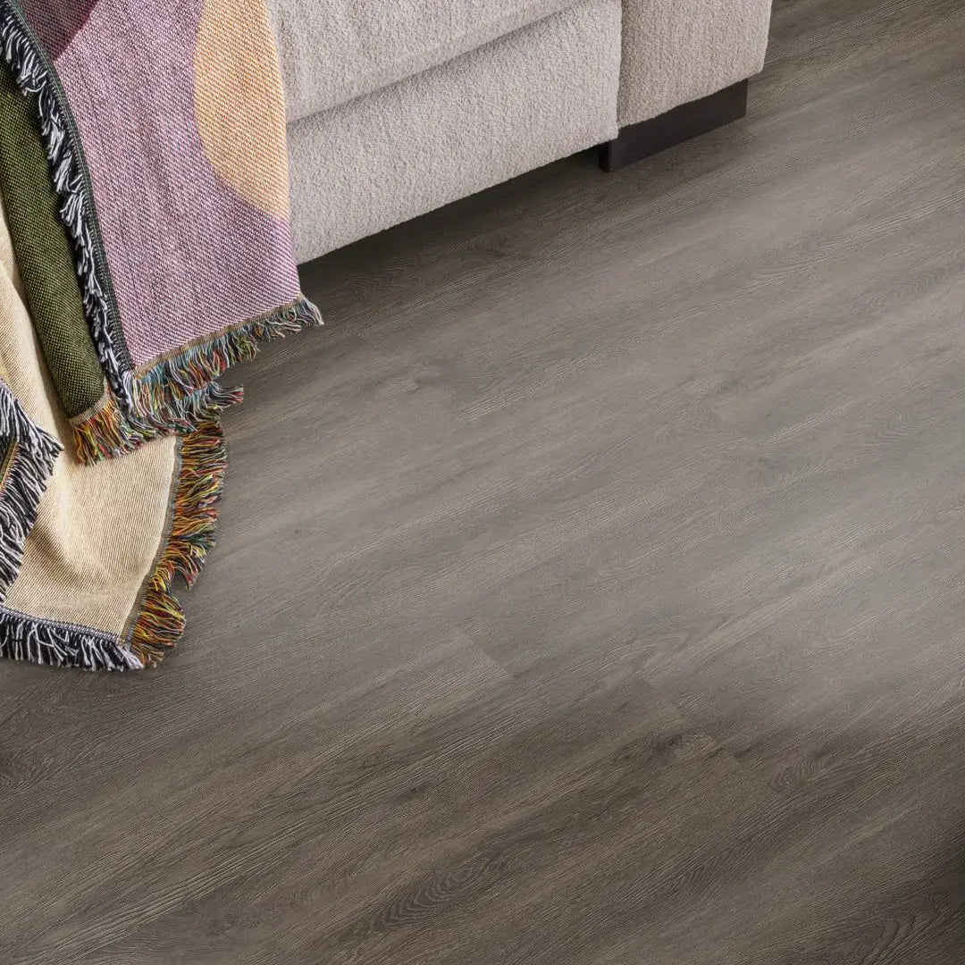Ambiant Supremo dryback dark grey