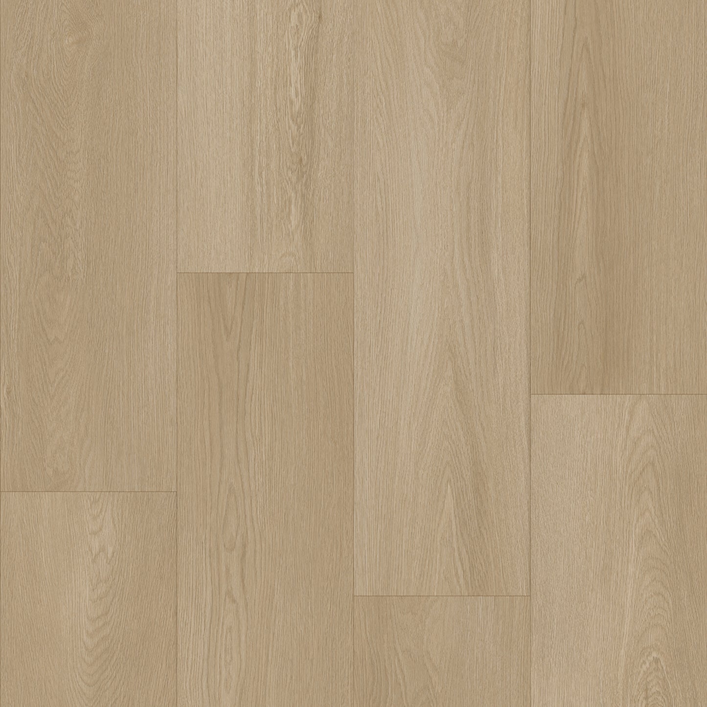 Bodiax Plank Dune dryback