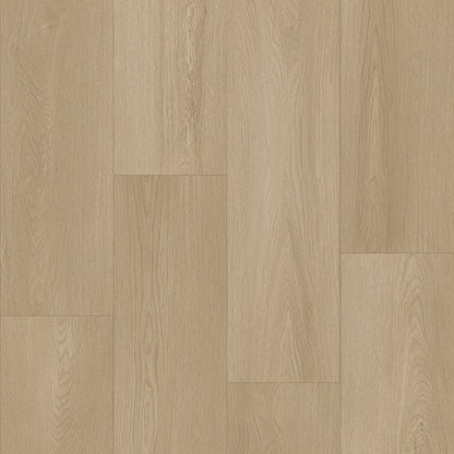 Bodiax Plank Dune dryback