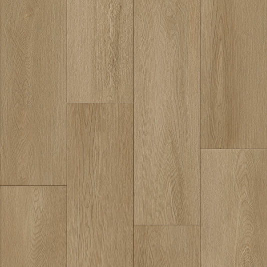 Bodiax Plank Soil dryback