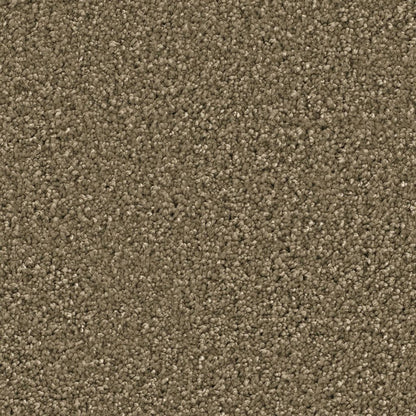 Ambiant Newberry olijf 0912 | 400 cm