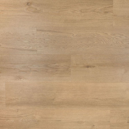 Douwes Dekker Riante Plank gemberkoek click