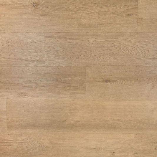 Douwes Dekker Riante plank gemberkoek dryback