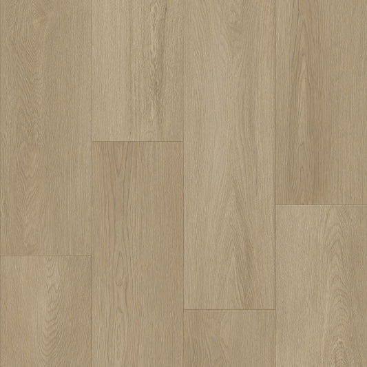 Bodiax Plank Blossom dryback
