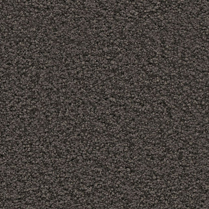 Ambiant Newberry antraciet 0205 | 400 cm