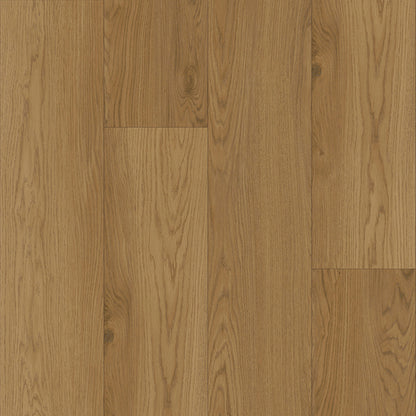 Bodiax Plank Desert dryback
