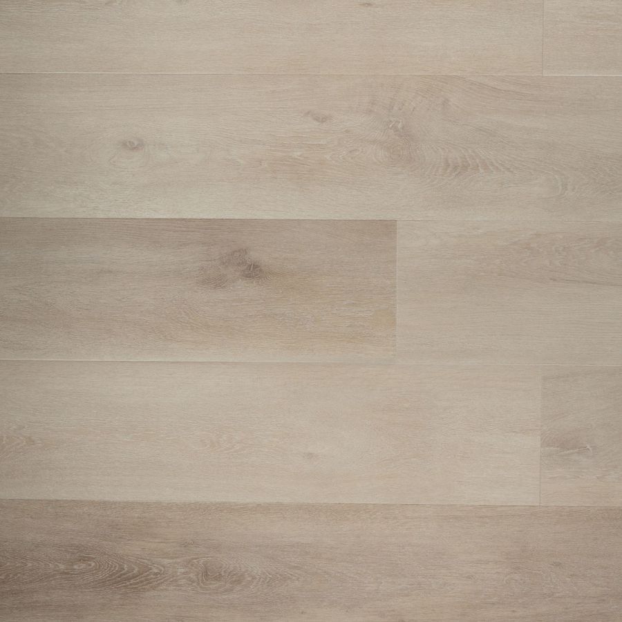 Douwes Dekker Riante pepermunt dryback