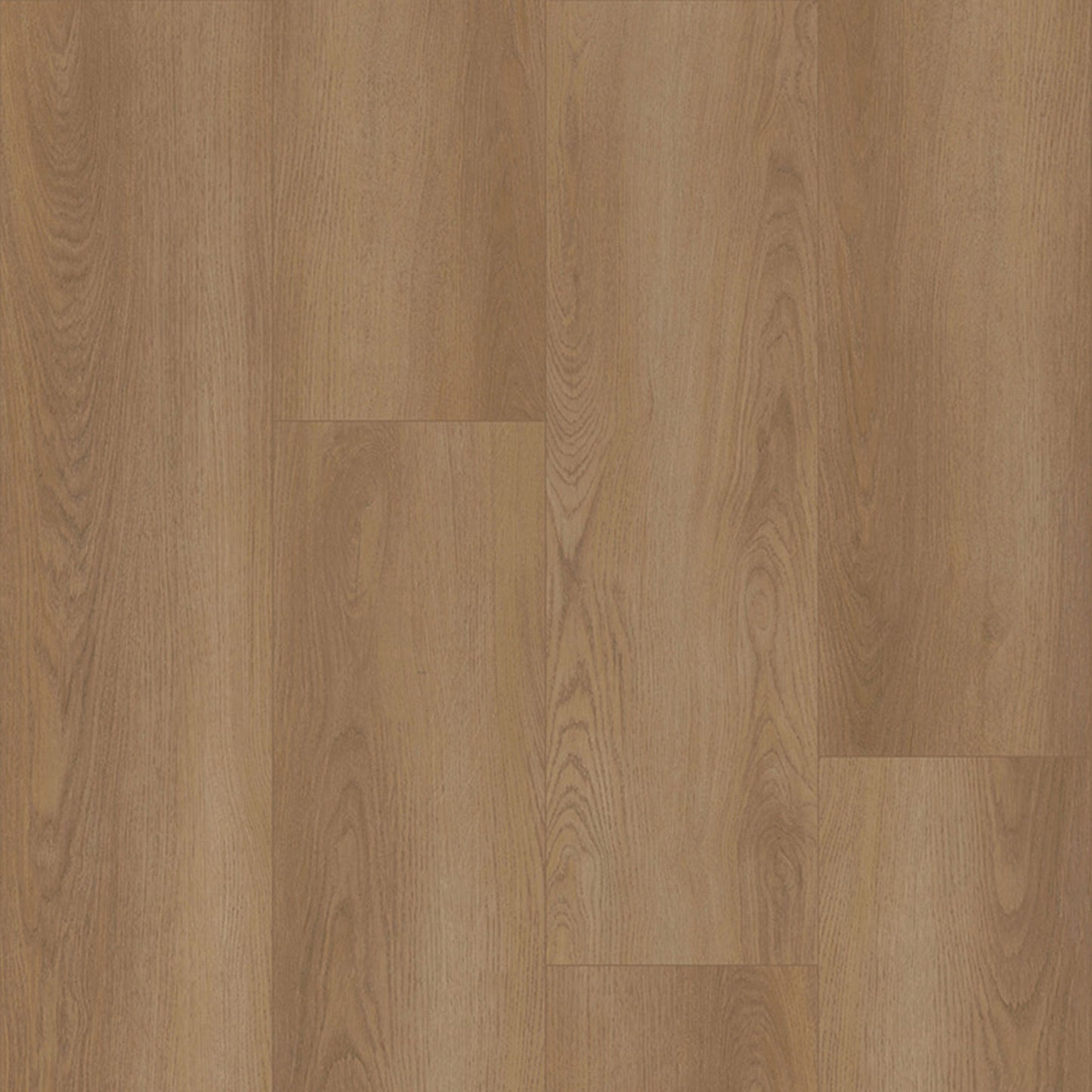 Bodiax Plank Shade dryback