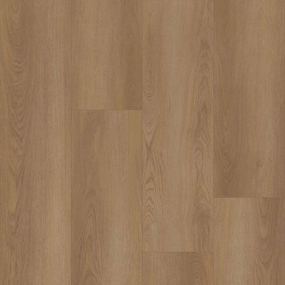 Bodiax Plank Shade dryback