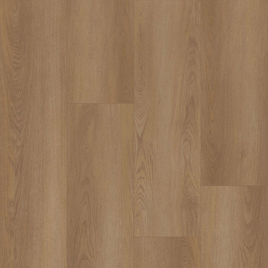 Bodiax Plank Shade dryback