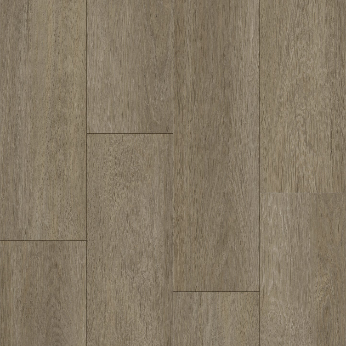 Bodiax Plank Ash dryback